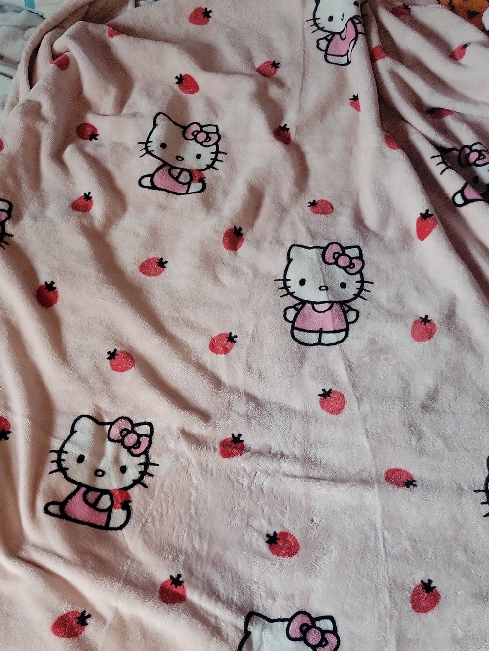 Hello Kitty Pink Strawberry Twin Blanket